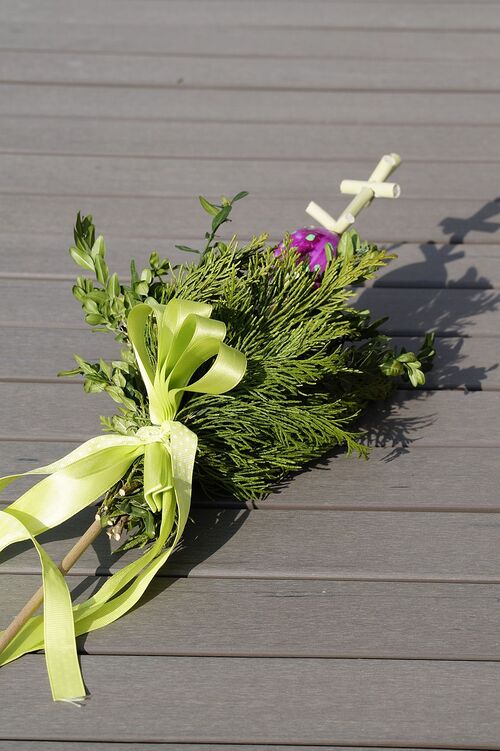 Palmbusch / pixabay / Efraimstochter